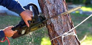 Best Utility Line Clearance  in Mount Ivy, NY